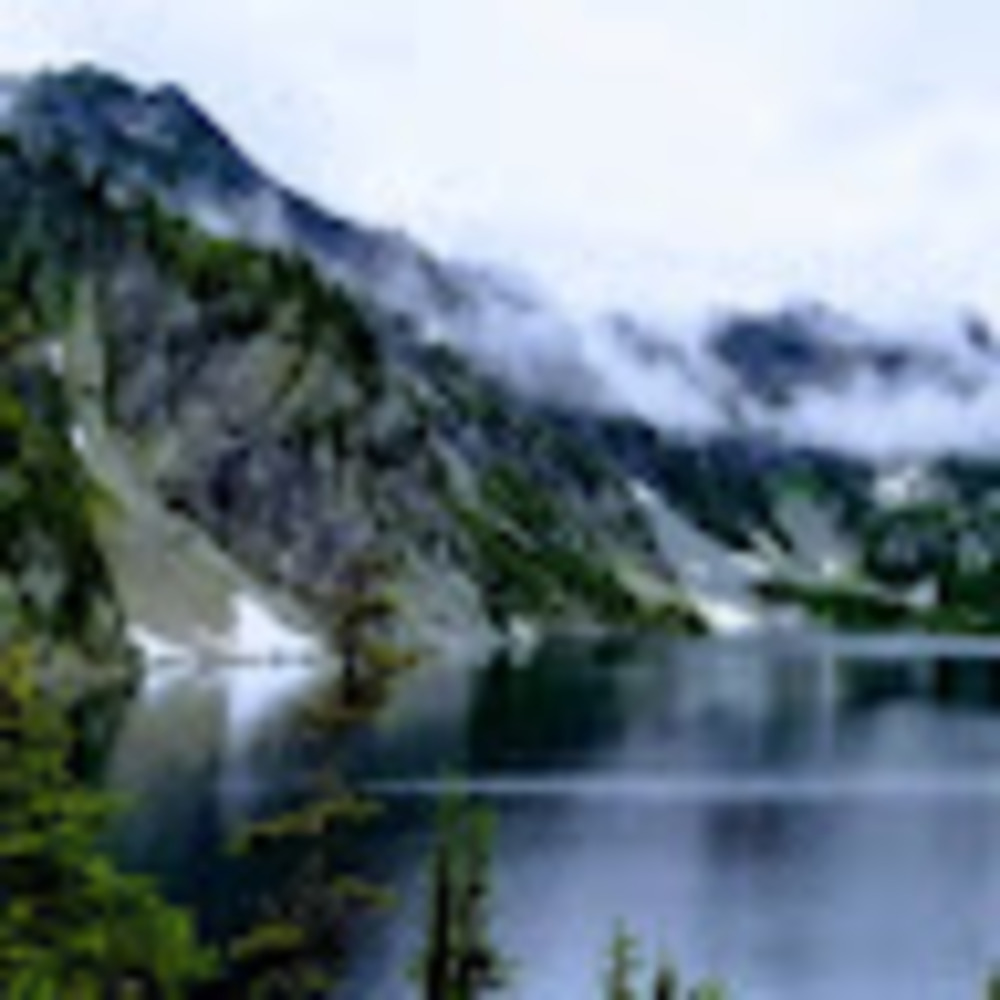 Meet your Posher, Susannah